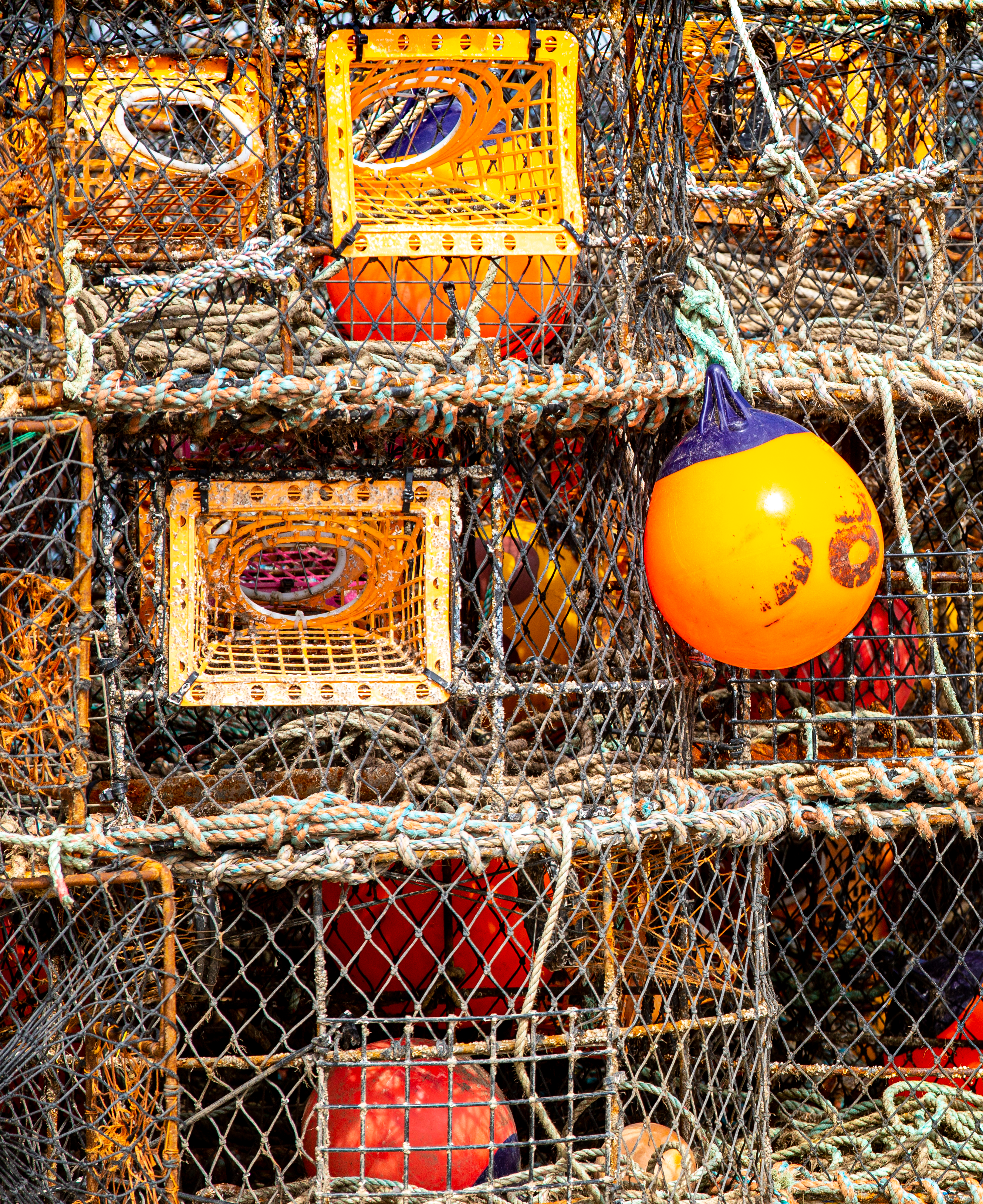 IMAGES EVERYWHERE Image